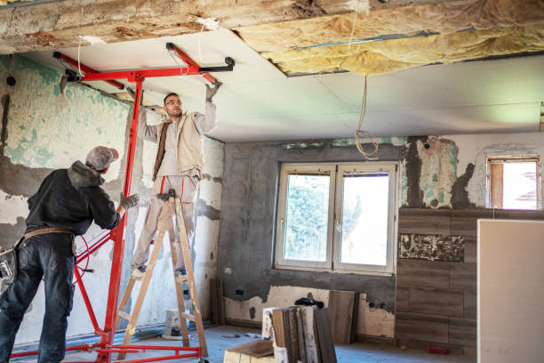 Best Local Insulation Services  in Buies Creek, NC